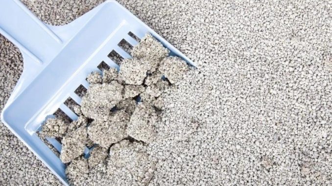 Harga-Pasir-Kucing-Bentonite