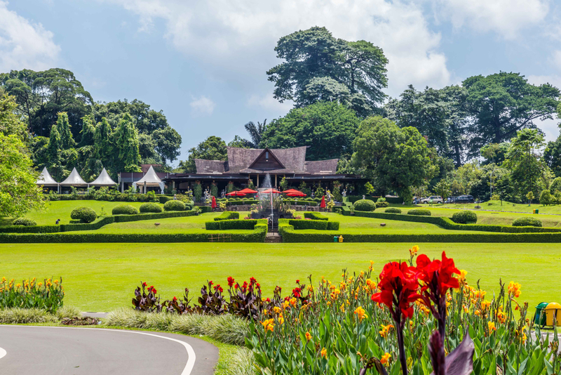 Biaya Masuk Kebun Raya Bogor 2026 Tiket Weekday dan Weekend Terbaru ...